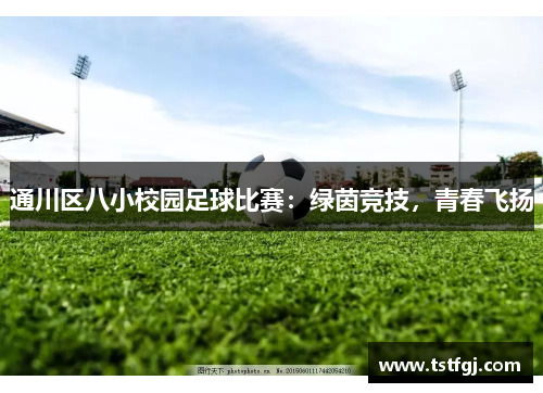 通川区八小校园足球比赛：绿茵竞技，青春飞扬