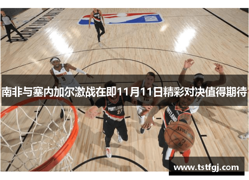南非与塞内加尔激战在即11月11日精彩对决值得期待