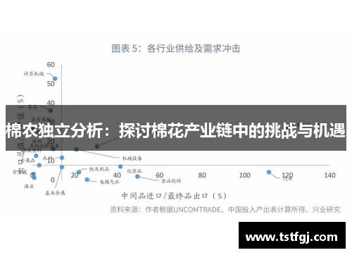 棉农独立分析：探讨棉花产业链中的挑战与机遇