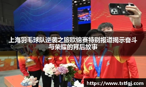 MK体育官方网站