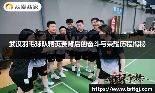 武汉羽毛球队精英赛背后的奋斗与荣耀历程揭秘