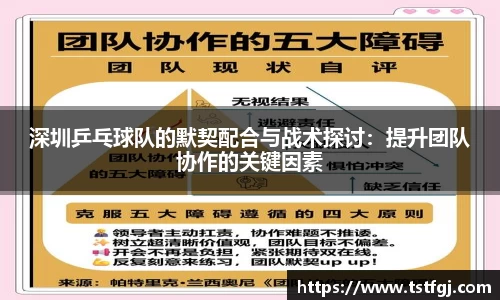 深圳乒乓球队的默契配合与战术探讨：提升团队协作的关键因素