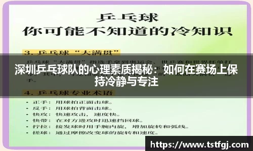 深圳乒乓球队的心理素质揭秘：如何在赛场上保持冷静与专注